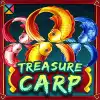 Treasure Carp